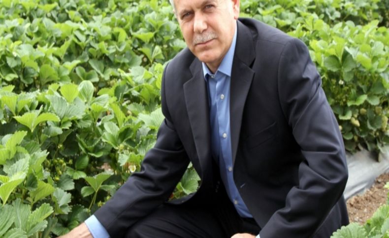 Bal arıları, biyolojik hastalıkları bitiriyor, üretimi artırıyor