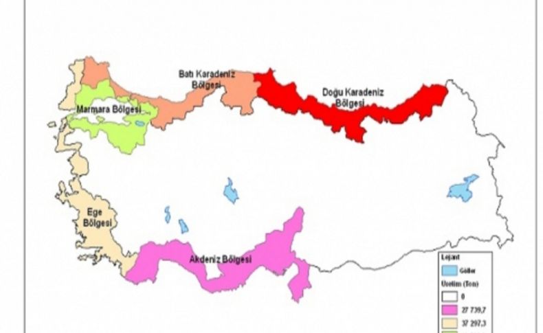 Balık üretimi yüzde 8,34 azaldı