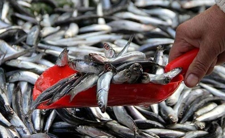 Balıkçılar av yasağında yeniden düzenleme istiyor
