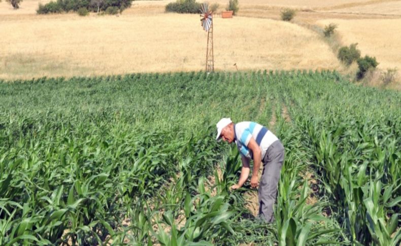 Balıkesir'de 761 üreticiye 3 milyon liralık hibe desteği yapılacak