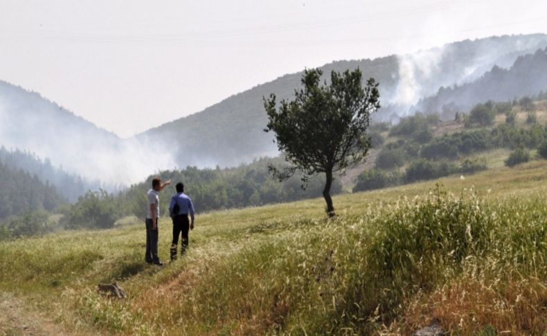 Balıkesir'de şiddetli rüzgar orman yangınına sebep oldu