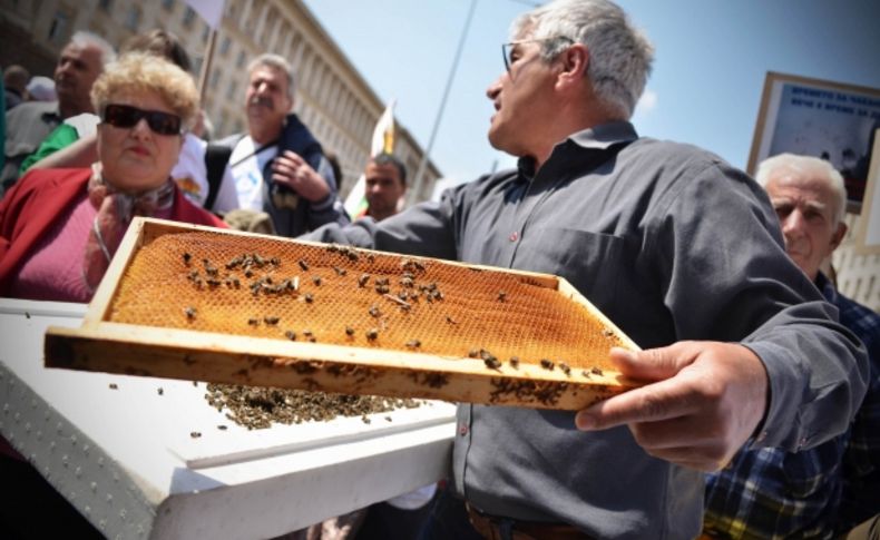 Başbakanlık binası önünde arılı eylem