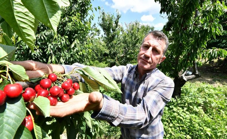 Başkan Soyer'den kiraz hasadına destek çağrısı!