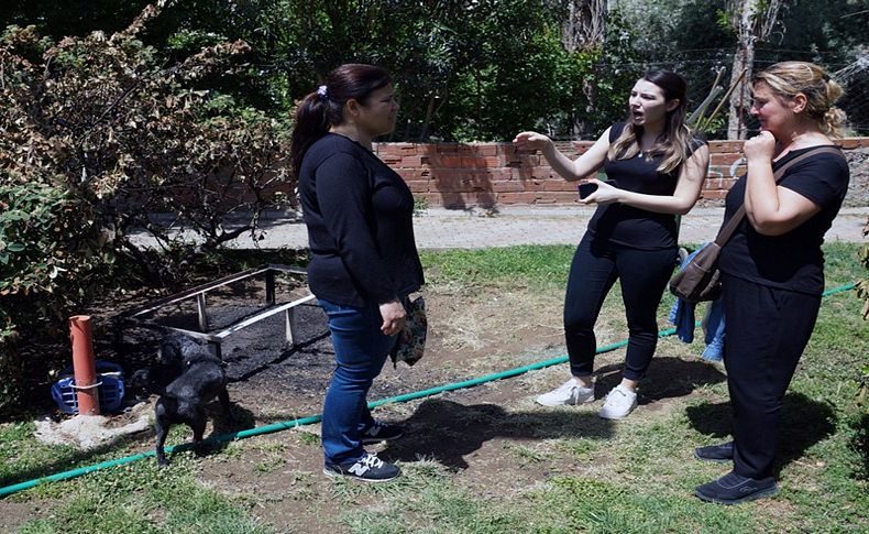 Kedi evini ateşe verdiler... Böyle canilik olmaz!