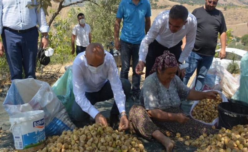 Başkan Yılmazlar ve Vekil Polat'tan tarla mesaisi