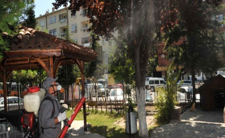 Belediye halk sağlığı için parkları ilaçlıyor