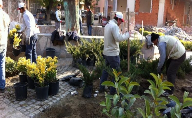 Belediye’den Arap Dede Türbesi etrafında peyzaj düzenlemesi