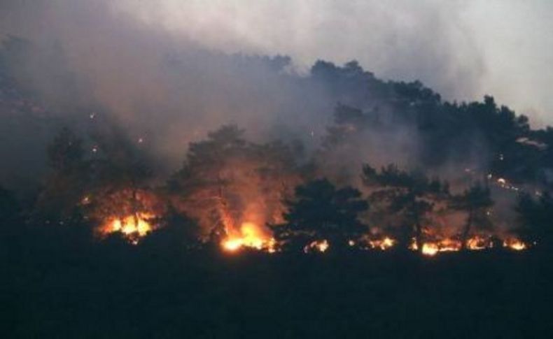 Bergama'da orman yangını