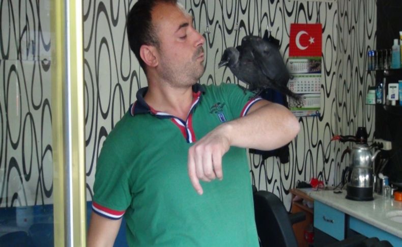 'Besle kargayı oysun gözünü’ atasözüne inat karga besliyor