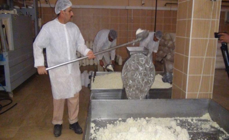 Bitlis’ten ABD’ye tulum peyniri ihracatı