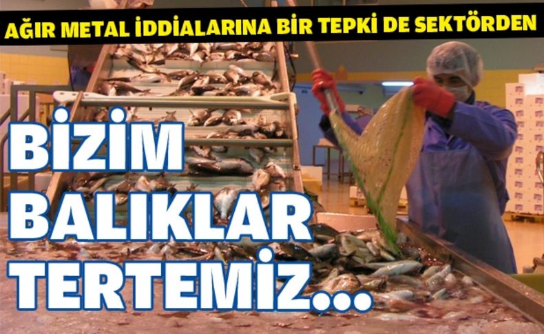 Bizim balıklar tertemiz...