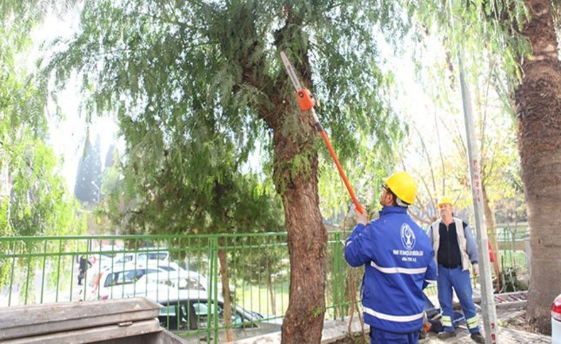 Bornova’da budaması yapılan dallar geri dönüşümle kazanılıyor