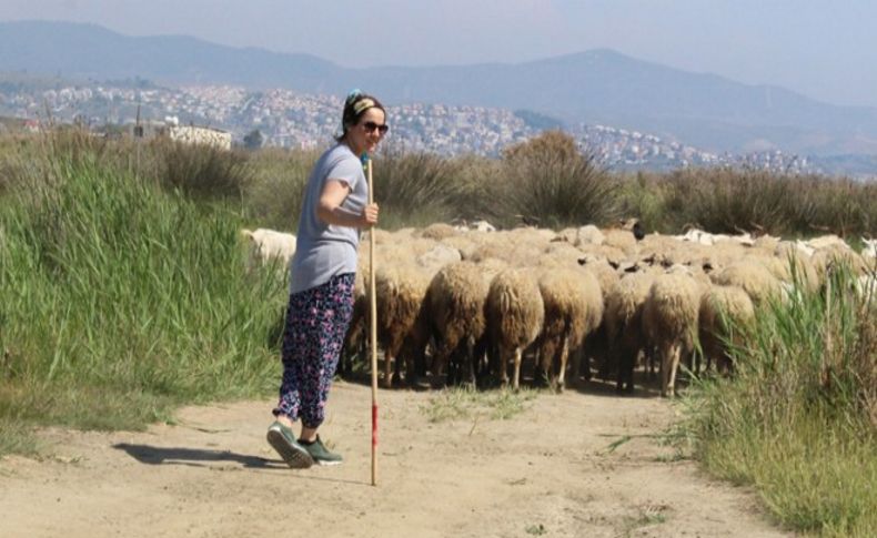 Böyle olur İzmir'in çobanı