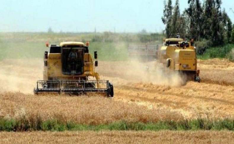 'Bu yıl çiftçimiz için yıkım yılı oldu'