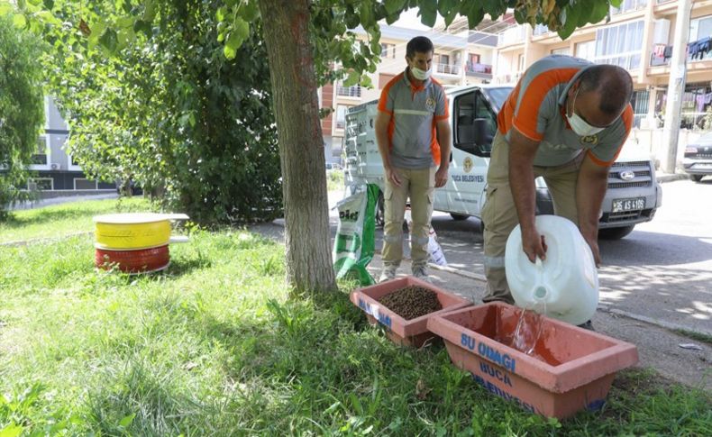 Buca Belediyesi’nden can dostlar için kışa hazırlık