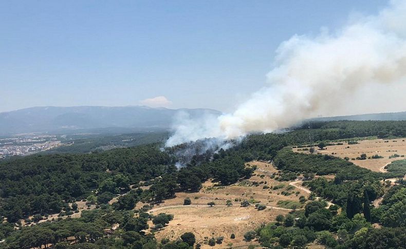 Buca'da orman yangını