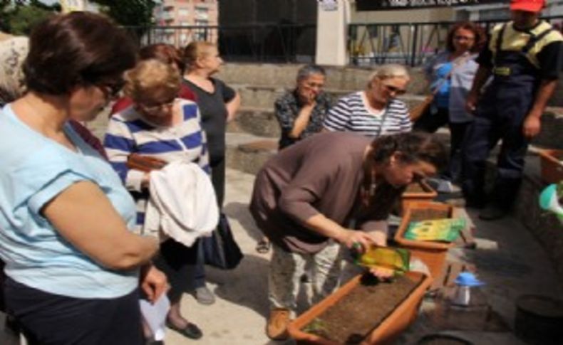 Buca'da organik ürünler balkonda yetişecek