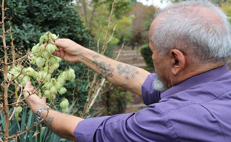 Bulduğu endemik bitkileri koluna dövme yaptırıyor... Keşif Kolu!