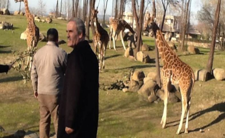 Bursa Hayvanat Bahçesi genişletiliyor, fil, fok ve penguen de geliyor