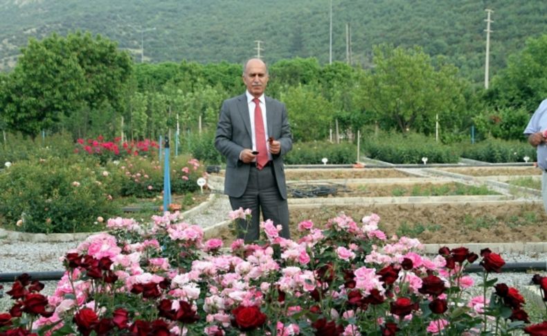 Bursa Valisi Harput, gül üreten Ekerler Roses firmasını ziyaret etti