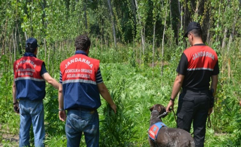 Bursa'da uyuşturucu operasyonu