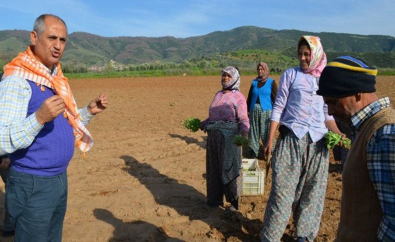 CHP’li Çam’dan çiftçinin yüzünü güldürecek teklif