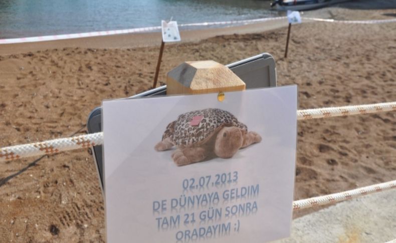 Caretta caretta otel sahiline yumurta bıraktı