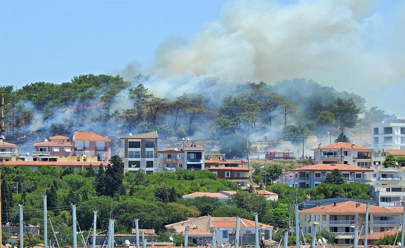 Çeşme'de korulukta yangın