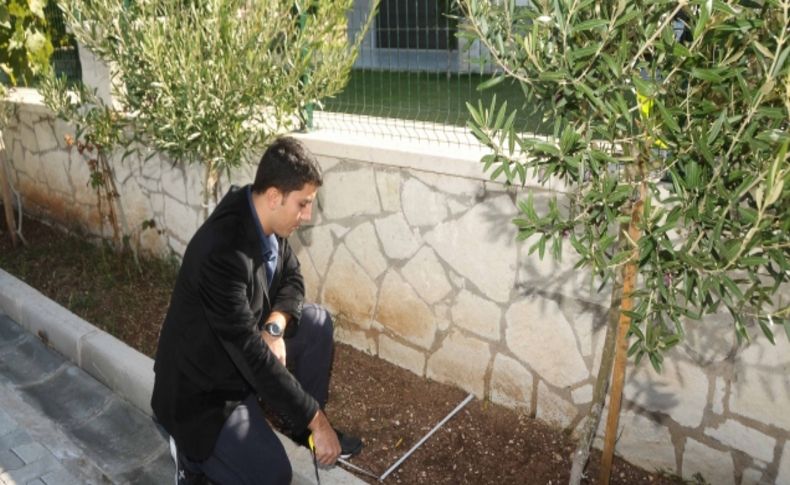 Çeşme Belediyesi ağaç dikilmeyen eve oturma raporu vermiyor