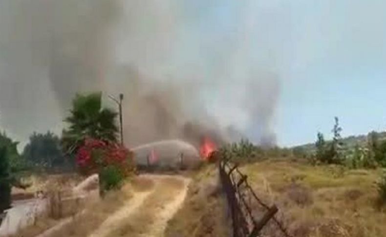 İzmir'in turizm cennetinde yazlıklara yakın yangın paniği