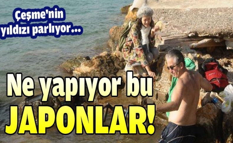 Çeşme'nin yıldızı parlıyor