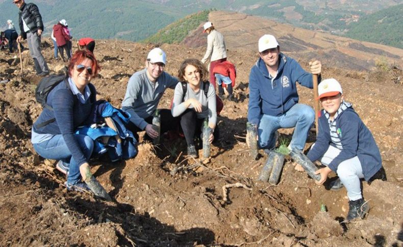 Çevreciler Bayındır'da fidan dikti