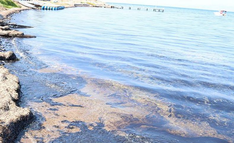 CHP'li Bakan'dan Foça'daki felakette dürüstlük çağrısı