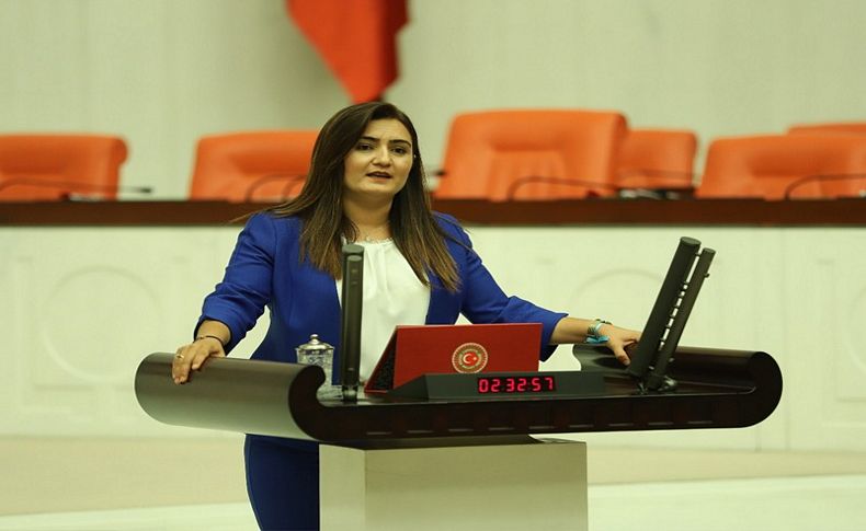 CHP'li vekil Kılıç yangınlara isyan etti