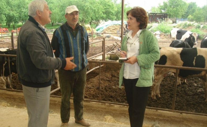 CHP’li Güler’in sorusuna Bakan Eker’den yanıt geldi: “İşler Çok İyi!”