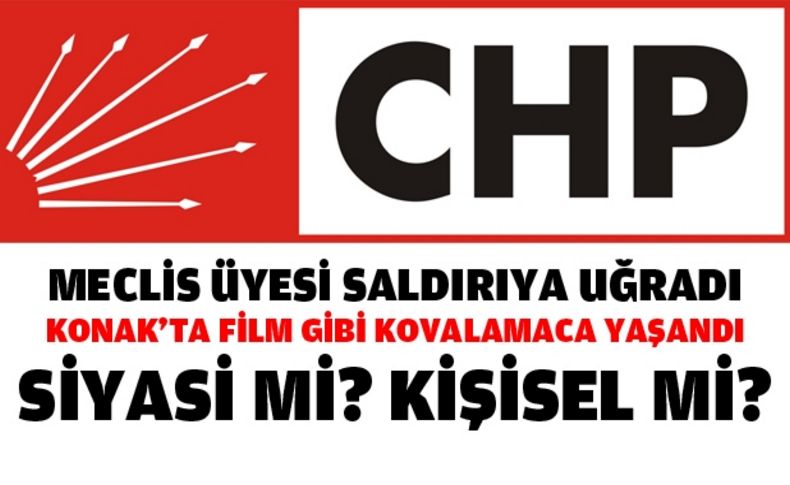 CHP’li meclis üyesi Doğan saldırıya uğradı