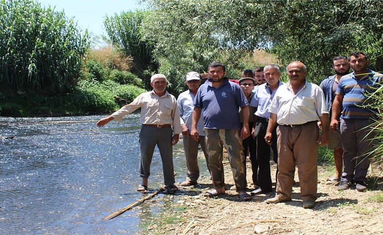 Çiftçilerden Küçük Menderes'te 'kirlilik' tepkisi