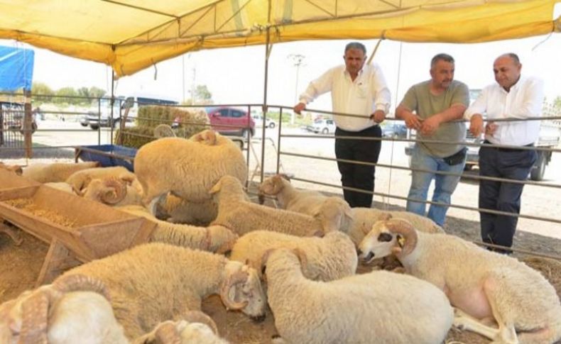 Çiğli Kurban Bayramı'na hazır