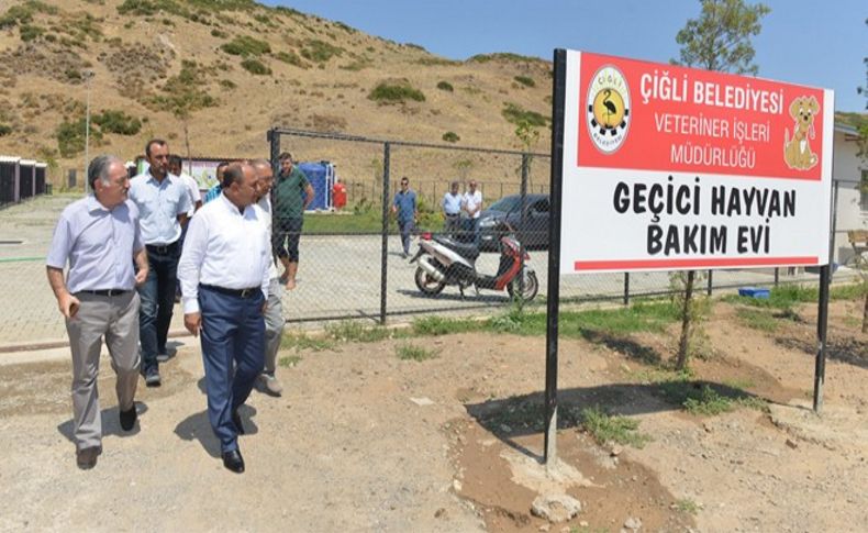 Çiğli'de sokak hayvanlarına sıcak yuva