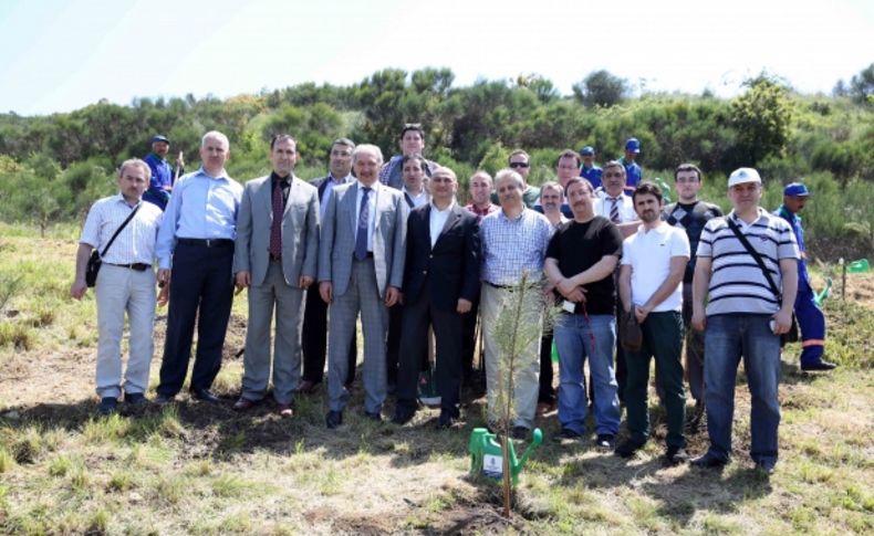 Cihan çalışanları, Başakşehir’de fidan dikti