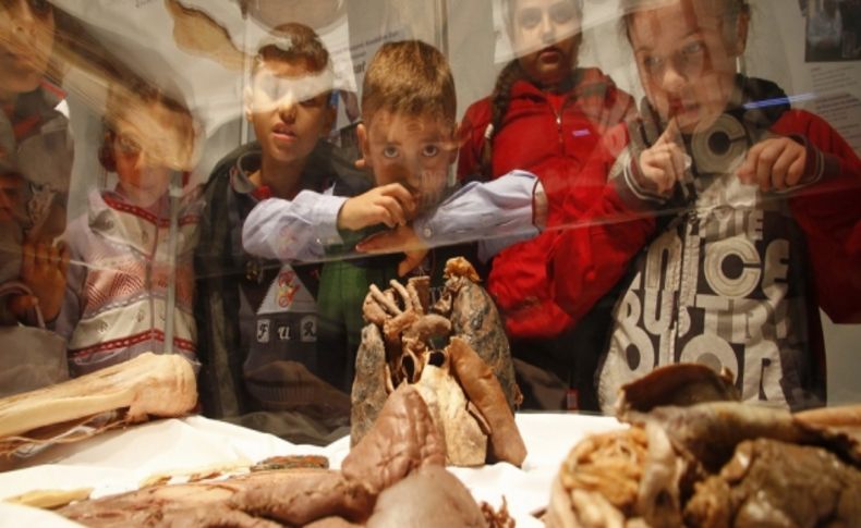 Çocuklar Body Worlds’e Hayran Kaldılar