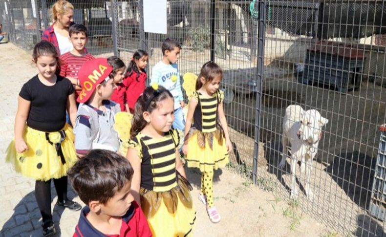 Çocukların hayvan sevgisi bambaşka