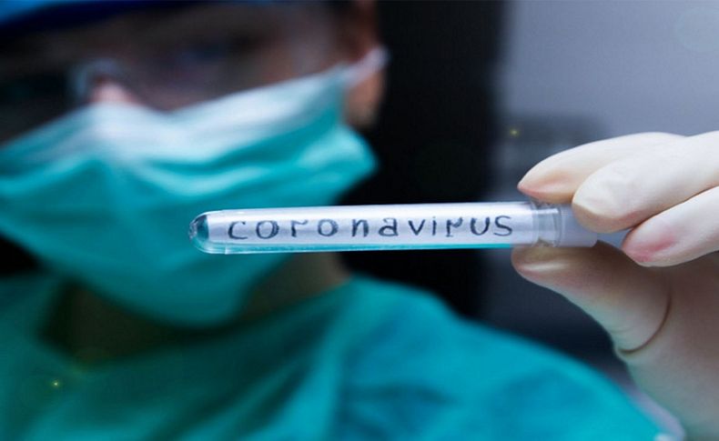 Corona virüs aşısı eylülde hazır olabilir