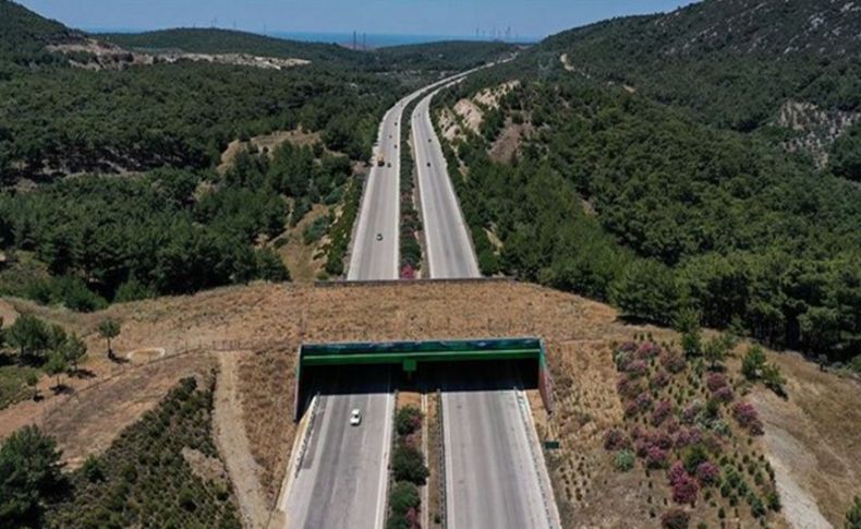 Danıştay'dan ölümlü kaza için karar: Karayolları mı domuzlar mı kusurlu'