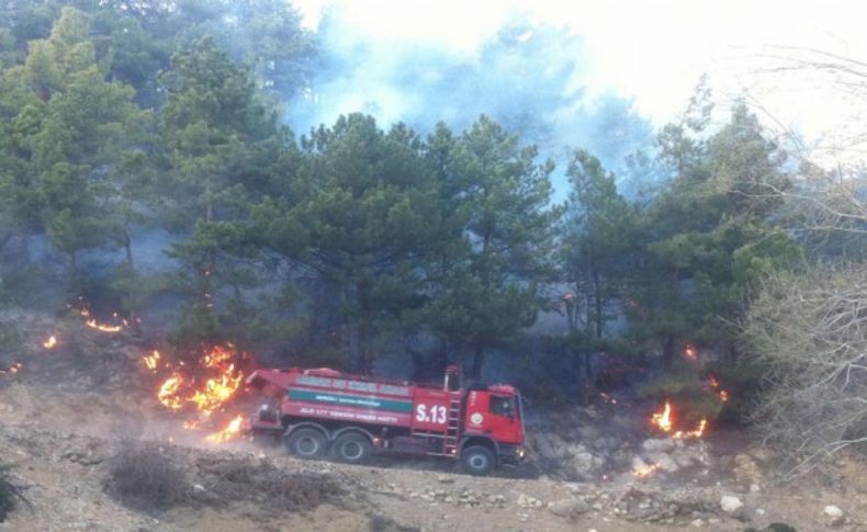 Kış mevsiminde iki kentte orman yangını