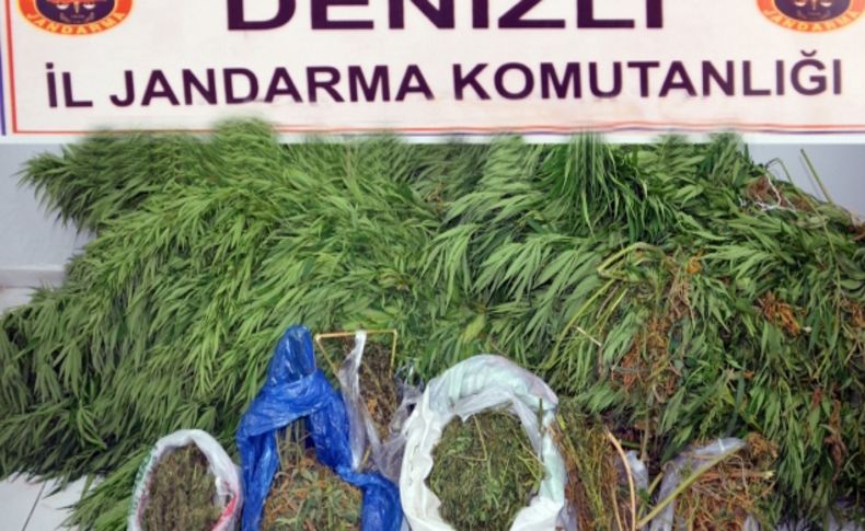 Denizli’de 14 uyuşturucu operasyonu