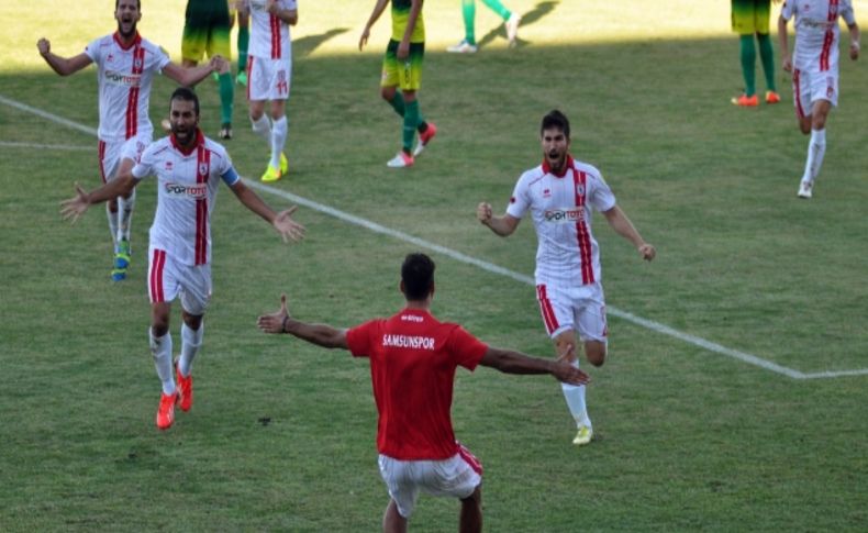 Denizlispor: 2 Samsunspor: 2