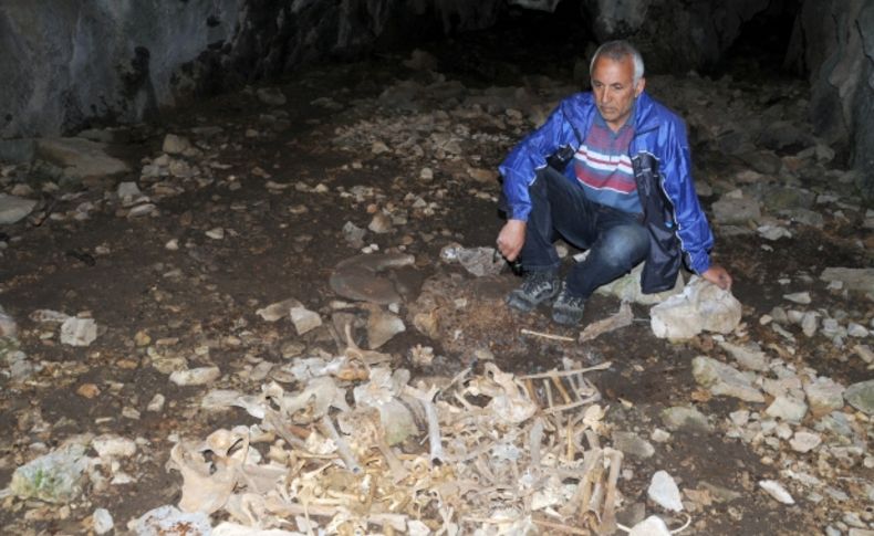 Dersim harekatında hayatını kaybedenlerin kemiklerine 76 yıl sonra ulaşabildi