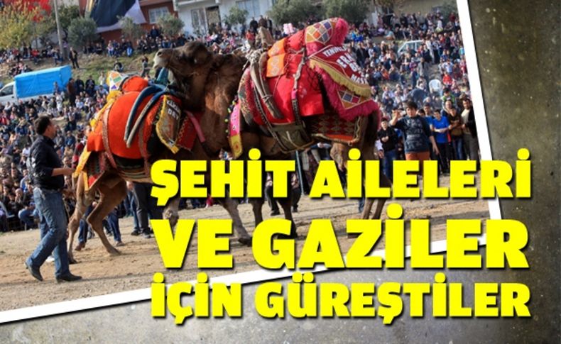 Develer şehit aileleri ve gaziler için güreşti