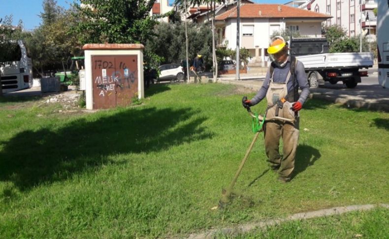 Didim'de park ve bahçelere düzenleme